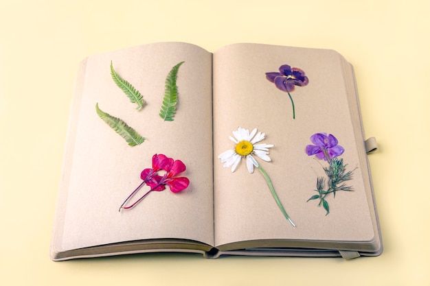 Herbario de diversas plantas secas prensadas en hojas de cuaderno vintage, herbolario. Conjunto botánico de flores silvestres, hierbas. Composición de otoño laicos plana, espacio de copia para texto