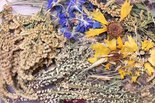 Herbarium trockene gelbe Blumen- und Grasblätter