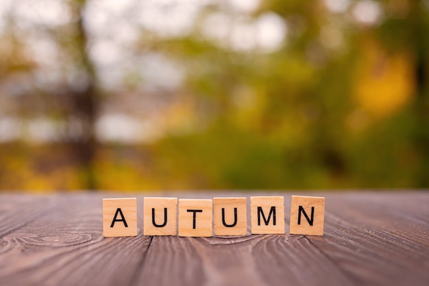 Herbst aus Buchstaben steht auf einem hölzernen Hintergrund Herbstwort auf verschwommenen bunten Herbstblättern bac