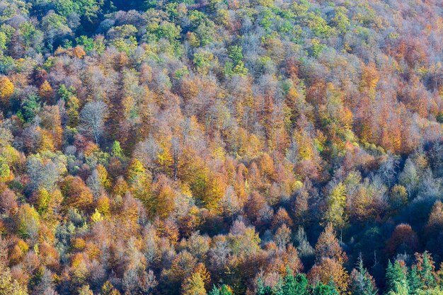 Foto herbst berglandschaft