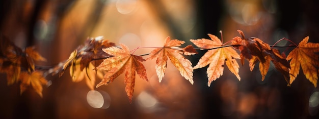 Herbst-Fall-Blätter-weicher Hintergrund mit Kopienraum für Text