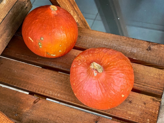 Foto herbst-fall-sesonal-dekor orange traditionelles halloween-kürbis-gemüse