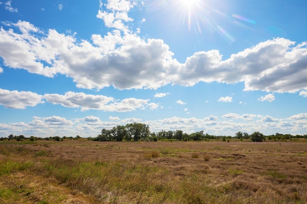 Herbst Feld