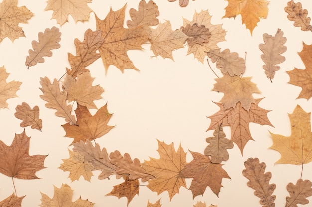 Herbst flach legen Zusammensetzung. Herbst, Herbst, Erntedankfest Hintergrund. Konzept der Herbstsaison. Flatlay, Ansicht von oben