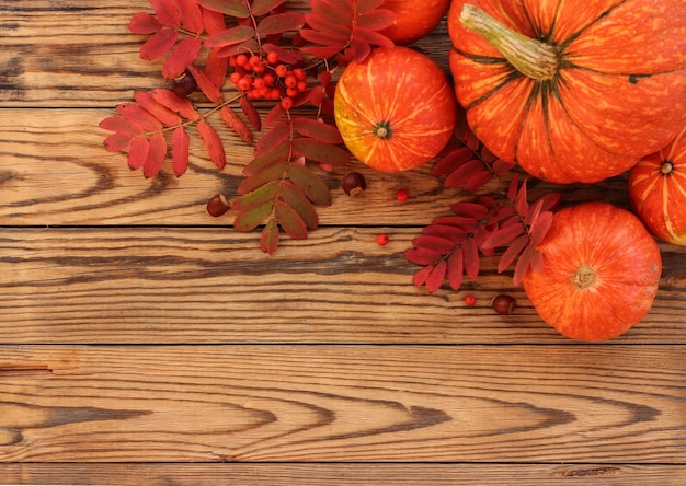 Herbst-Flatlay mit Kürbissen und abgefallenen Blättern auf Holzhintergrund Platz für Text