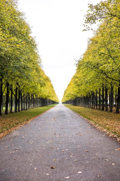 Herbst Gasse