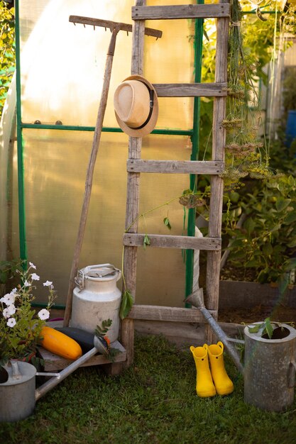 Foto herbst-gemüsegarten einsammeln gewächshaus-stillleben