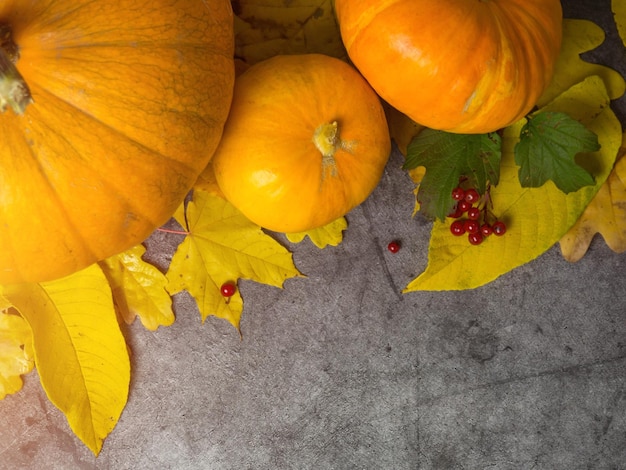 Herbst Halloween Kürbisse auf hölzernem Hintergrund