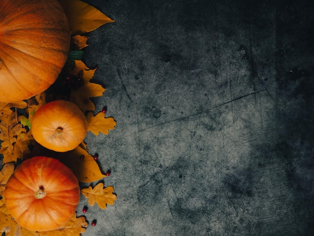 Herbst Halloween Kürbisse auf hölzernem Hintergrund