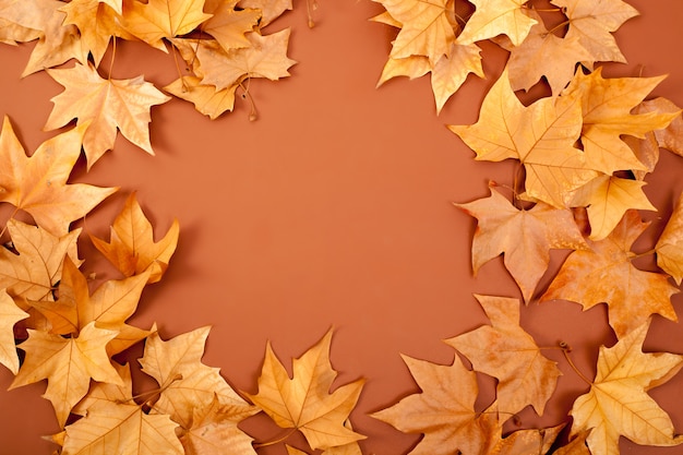 Herbst Herbst dired Blätter Grenze Ruhm auf braun