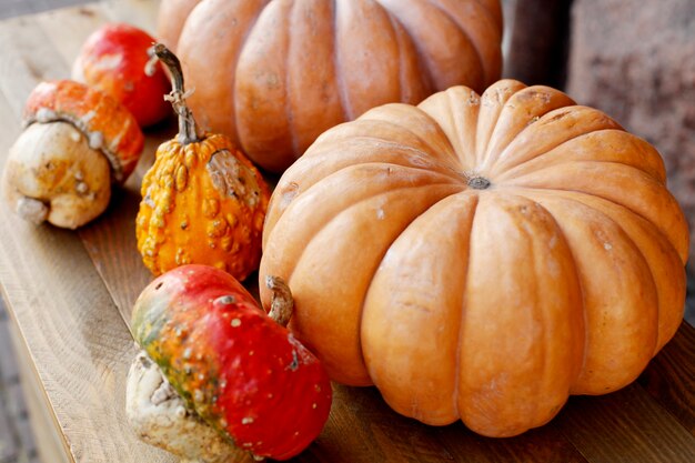 Herbst Herbstdekoration mit Kürbissen