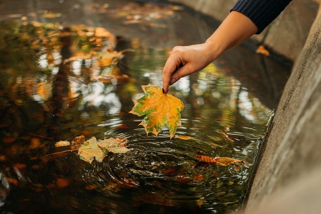 Herbst Hintergrund Herbst kommt hallo Herbst Dinge zu kommen schöner Herbst weibliche Hand hält Ahorn
