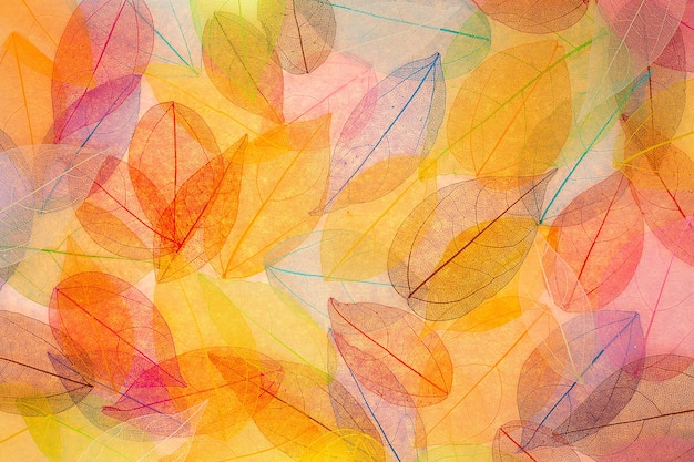 Herbst Hintergrund. Herbstlaub Textur