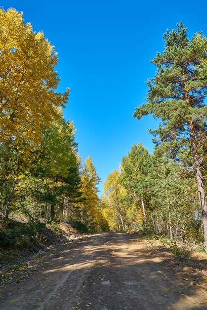 Herbst Hintergrund