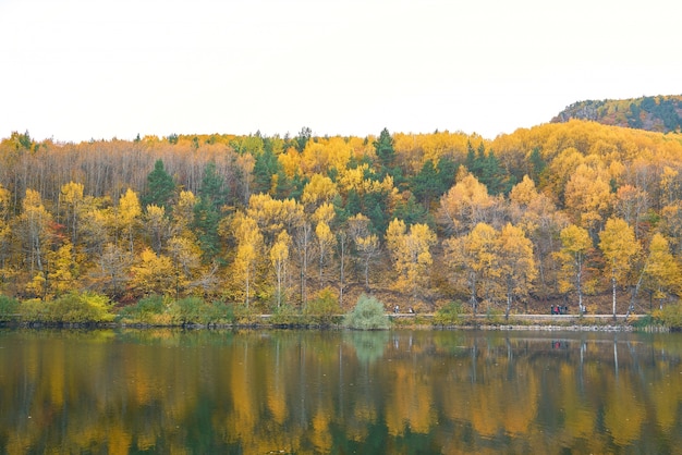 Herbst Hintergrund