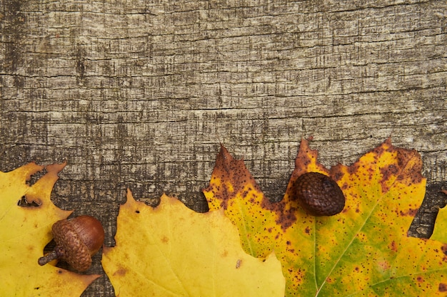 Herbst Hintergrund