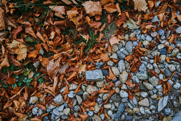 Herbst Hintergrund