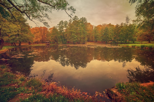 Herbst Hintergrund