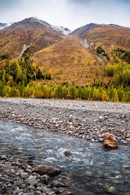 Herbst im Aktru-Flusstal. Severo-Chuysky-Grat, Republik Altai, Russland