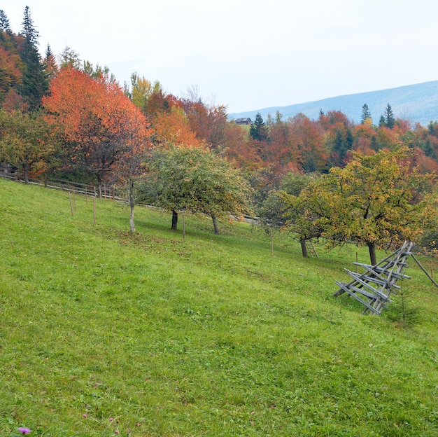 Herbst im Berggarten.