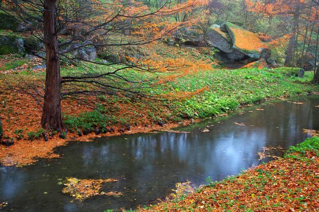 Herbst im Park Zusammensetzung der Natur