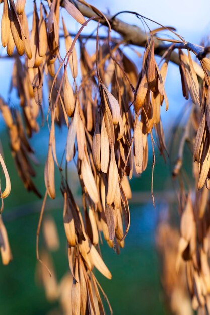 Herbst im Park