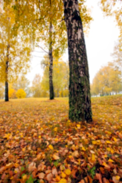 Herbst im Park