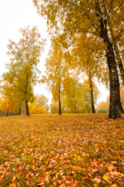 Herbst im Park