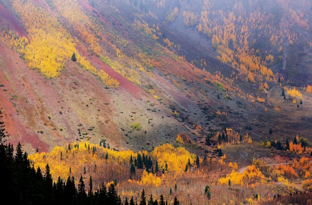 Herbst in Colorado