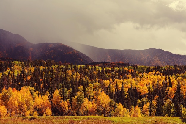 Foto herbst in colorado