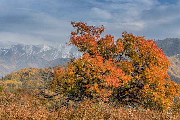 Herbst in den Bergen, Kasachstan