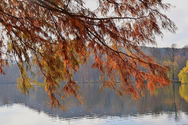 Herbst in den Bergen