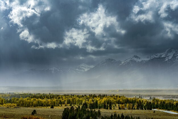 Herbst in den Grand Tetons