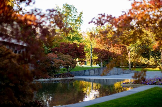 Herbst in der Stadt Bäume mit rotorangen Blättern im Park schöne Landschaft kleiner Teich im japanischen Stil der Landschaftsgestaltung Desktop-Hintergrund Herbst warmes sonniges Wetter Hochdruckgebiet Krasnodar