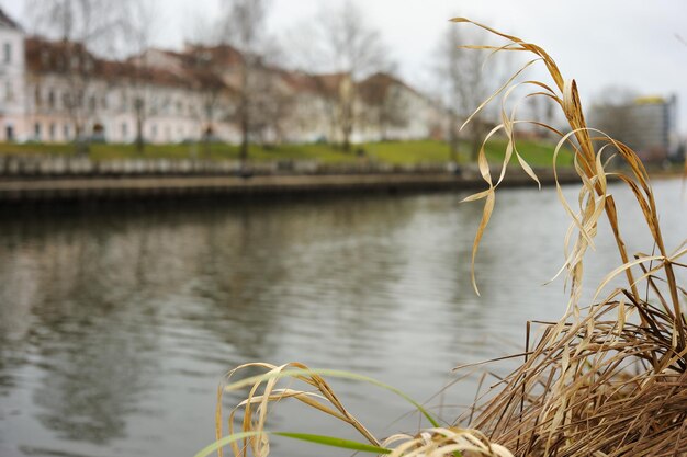 Herbst in der Stadt