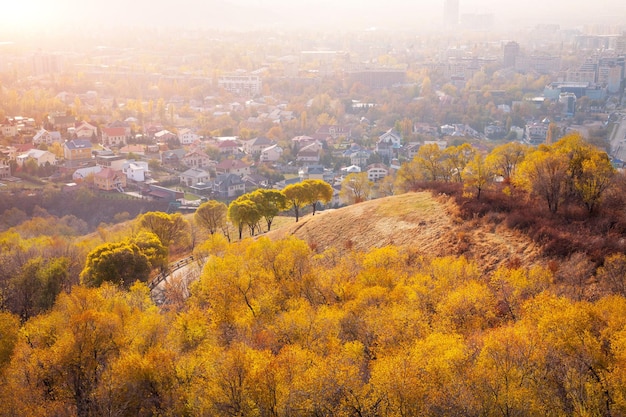 Herbst in der Stadt