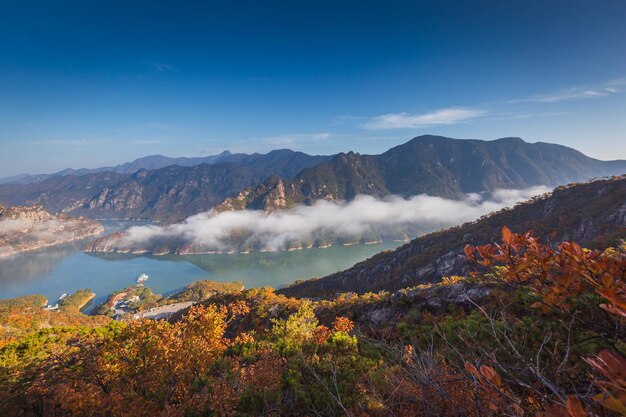 Herbst in Korea Pinienbäume, die sich auf den Felsen auf dem Gipfel von Jebibong erheben Morgen ein Meer von Nebel fließt durch den Fluss im Tal Im Herbst des Waraksan Mountain National Park Südkorea