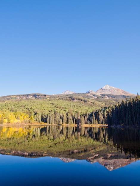 Herbst in perfekter Reflexion von Woods Lake, Colorado.