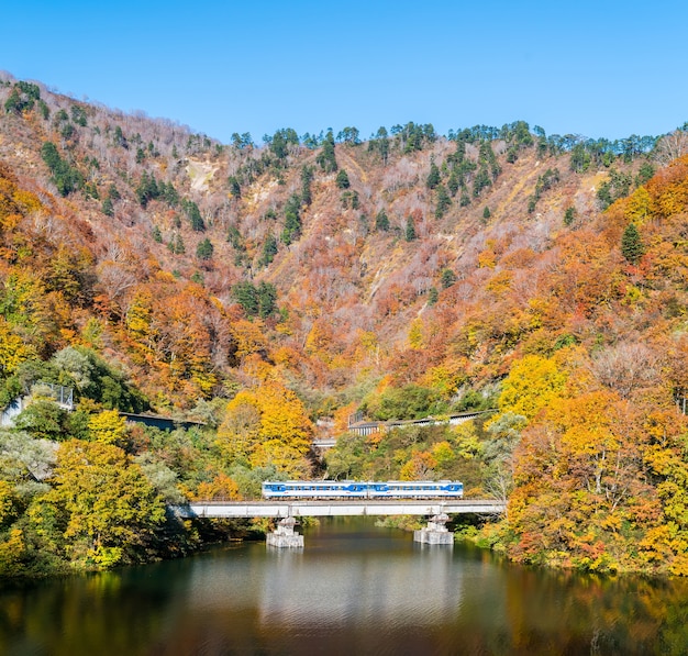 Herbst in Tadami Fukushima Japan