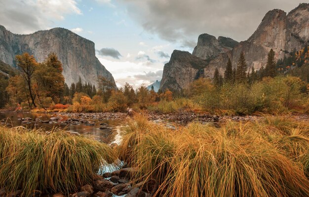 Foto herbst in yosemite