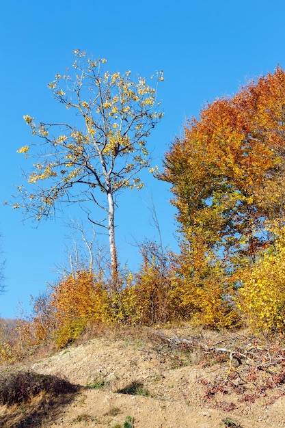 Herbst Karpaten Ukraine