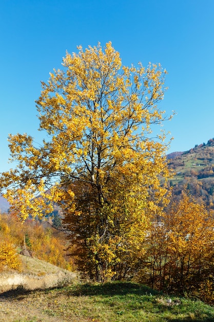 Herbst Karpaten Ukraine