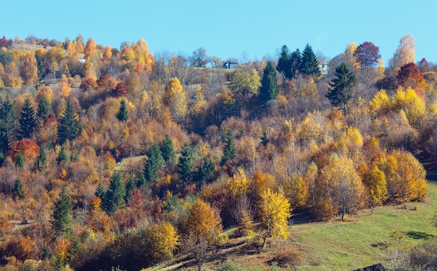 Herbst Karpaten Ukraine