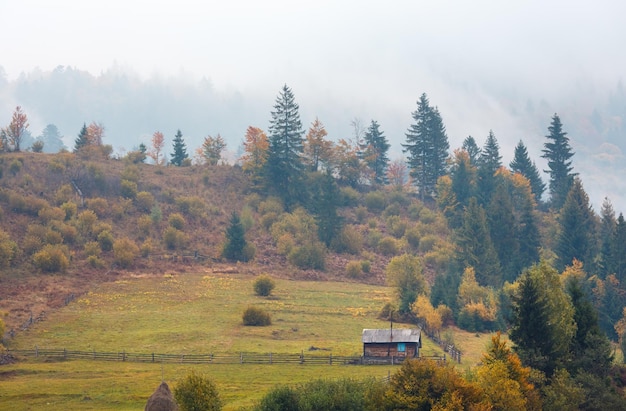 Herbst Karpaten Ukraine