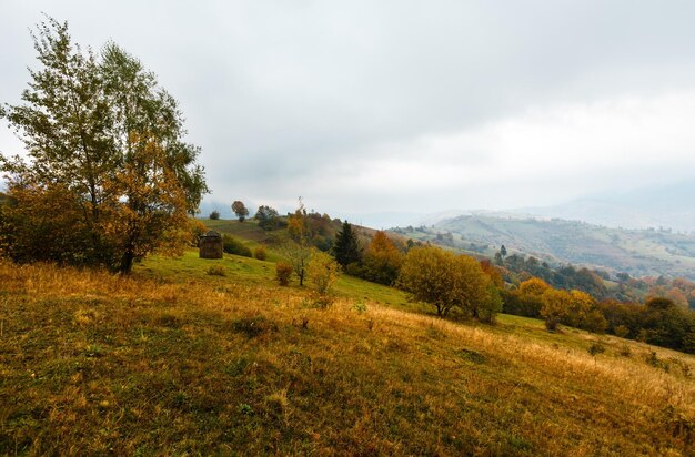 Herbst Karpaten Ukraine