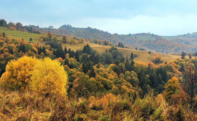 Herbst Karpaten Ukraine