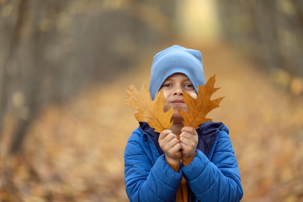Herbst-Kind-Junge Porträt im Herbst gelbe Blätter kleines Kind im Park gestrickte Outdoor-Kleidung für die Herbstsaison Kinderjunge halten Ahornblatt Falll-Laub Familienspaß im Freien im Herbst