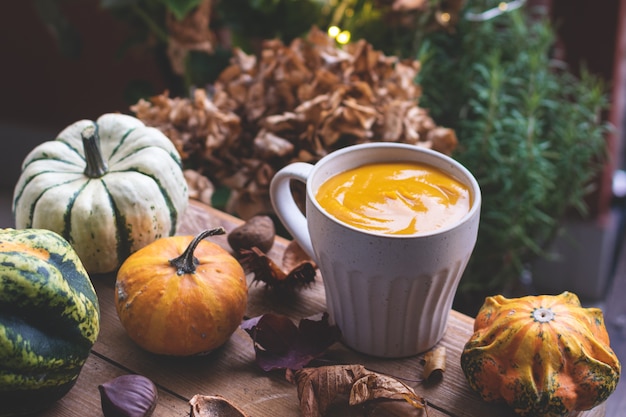 Herbst Komfort Essen, selektive Konzentration auf Kürbissuppe in einer Tasse mit einigen Kürbissen und getrockneten Blättern