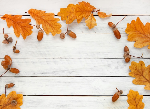 Herbst Komposition Rahmen aus Herbst Eichenlaub und Eicheln auf weißem Hintergrund Ansicht von oben