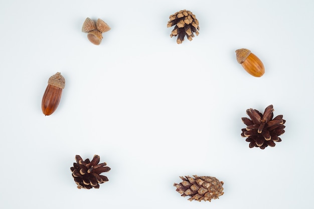 Herbst Komposition, Rahmen aus Tannenzapfen, Eicheln und Kastanien. Flachgelegt, Draufsicht.